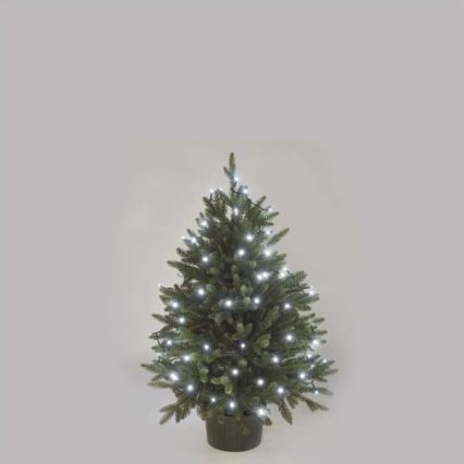 Corrente de Natal exterior LED 80xLED/13m IP44 branco frio