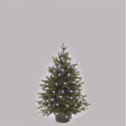 Corrente de Natal exterior LED 80xLED/13m IP44 branco frio