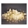 Corrente de Natal LED 10xLED/2xAA 2,5m branco quente