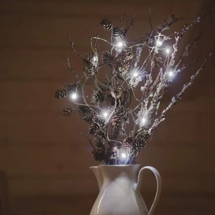 Corrente de Natal LED 20xLED/2xAA 2,4m branco frio