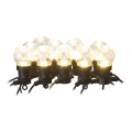 Corrente decorativa exterior LED 50xLED/10m IP44 transparente