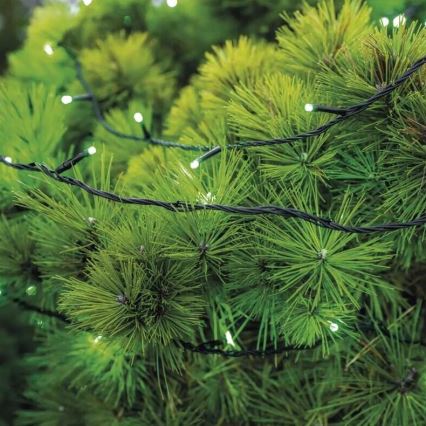 Corrente exterior de Natal LED 100xLED/10m IP44 verde