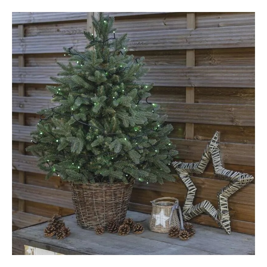 Corrente exterior de Natal LED 100xLED/10m IP44 verde