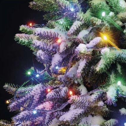 Corrente exterior de Natal LED 50xLED/5m IP44 multicolor