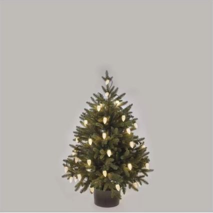 Corrente exterior de Natal LED 50xLED/8 funções 14,8 m IP44 branco quente