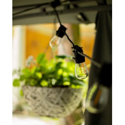 Corrente exterior decorativa MIMOSA 20xE27/1,3W/230V IP44 10m