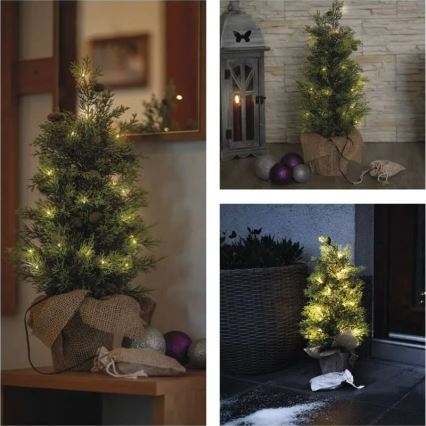 Decoração de Natal LED 30xLED/3xAA IP44