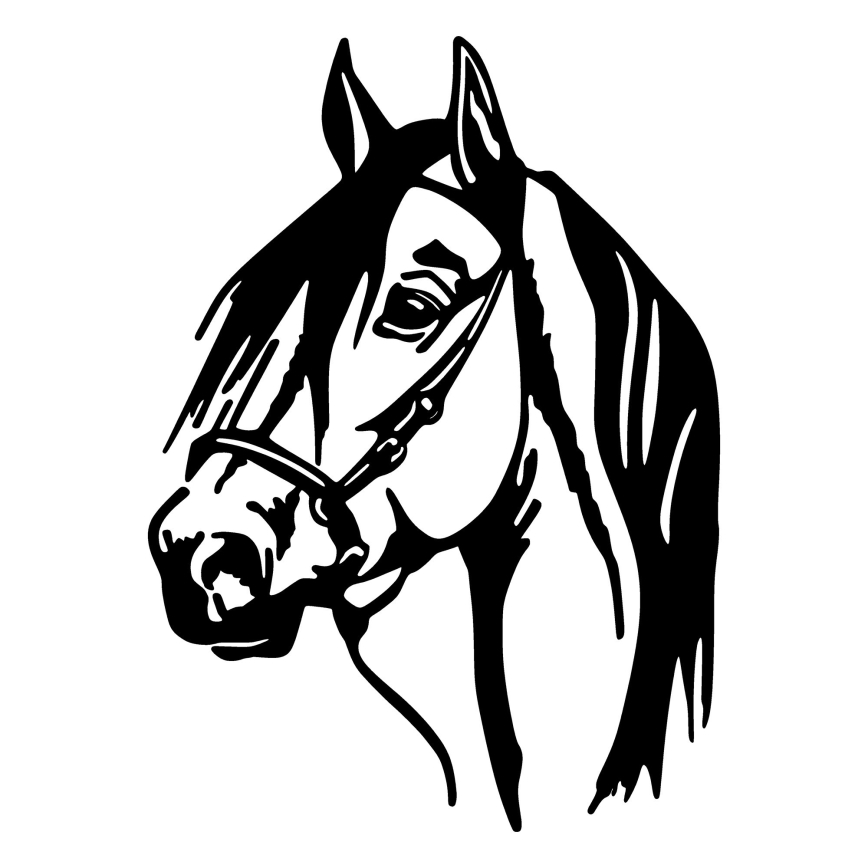 Decoração de parede 55x40 cm horse