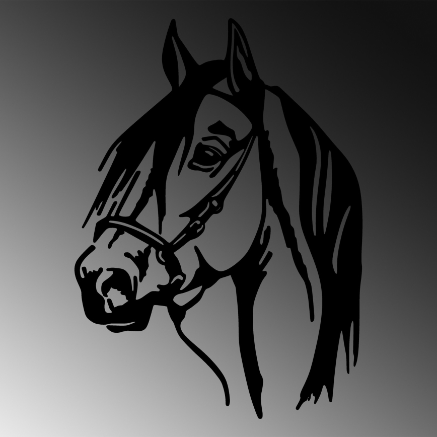 Decoração de parede 55x40 cm horse