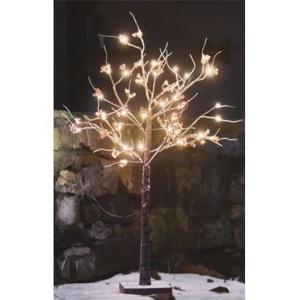Decoração exterior de Natal LED 48xLED/3,6W/230V IP44