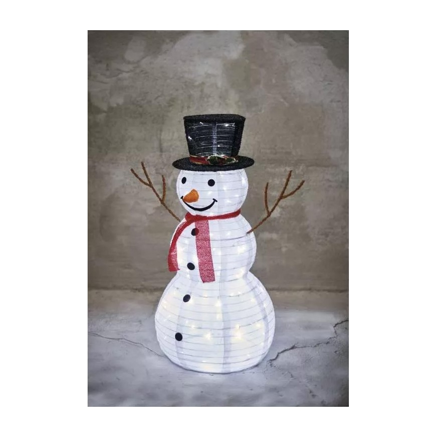 Decoração exterior de Natal LED 80xLED/2,25W/4,5/230V IP44 branco frio