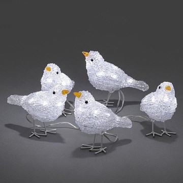 Decoração exterior de Natal LED BIRDS 5xLED/230V/24V IP44