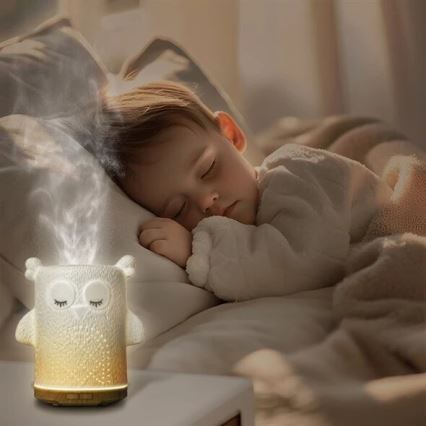 Difusor de aromas LED RGBW LED/8W/230V 100 ml coruja