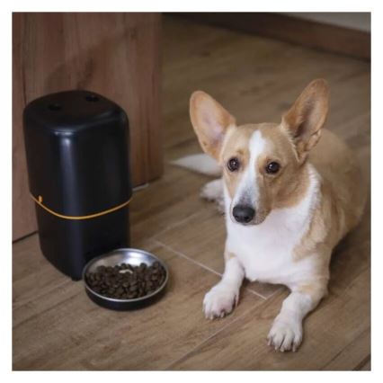 Dispensador automático de ração 4 l/5V/3xD preto Wi-Fi