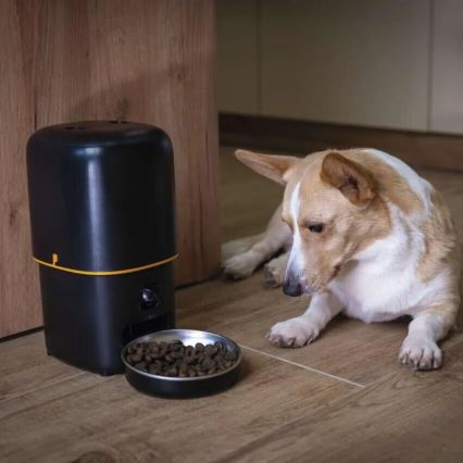 Distribuidor automático de alimentos com microfone e câmara 4l/5V/3xD Wi-Fi
