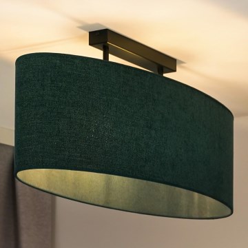 Duolla - Candeeiro integrado OVAL 2xE27/15W/230V verde