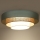 Duolla - Iluminação de teto LED LUNETA LED/26W/230V diâmetro 60 cm 4000K turquesa/bege/creme