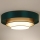 Duolla - Iluminação de teto LED LUNETA LED/26W/230V diâmetro 60 cm 4000K verde/dourado/branco