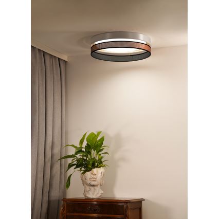 Duolla - Iluminação de teto LED ROLLER DUO SHINY LED/24W/230V diâmetro 45 cm branco/cobre