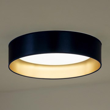 Duolla - Iluminação de teto LED ROLLER LED/24W/230V diâmetro 45 cm azul/dourado