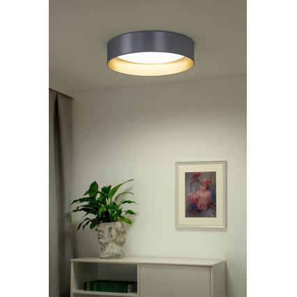 Duolla - Iluminação de teto LED ROLLER LED/24W/230V diâmetro 45 cm prateado/dourado
