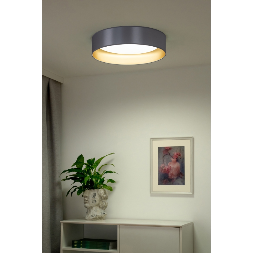 Duolla - Iluminação de teto LED ROLLER LED/24W/230V diâmetro 45 cm prateado/dourado