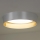 Duolla - Iluminação de teto LED ROLLER LED/24W/230V diâmetro 45 cm prateado/dourado