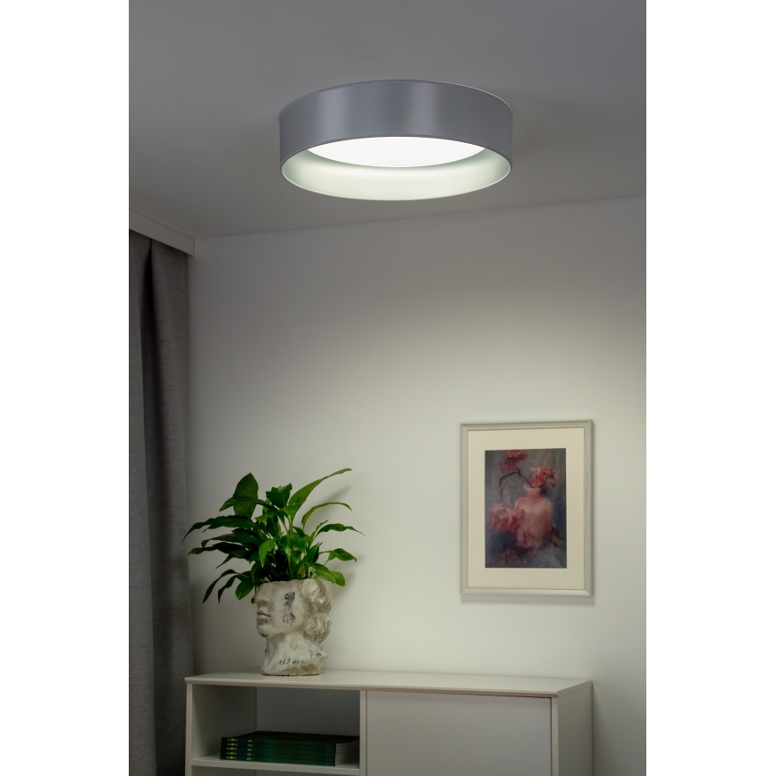 Duolla - Iluminação de teto LED ROLLER LED/24W/230V diâmetro 45 cm prateado