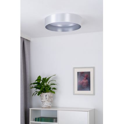 Duolla - Iluminação de teto LED ROLLER LED/24W/230V diâmetro 45 cm prateado