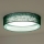Duolla - Iluminação de teto LED ROLLER LED/24W/230V diâmetro 45 cm verde