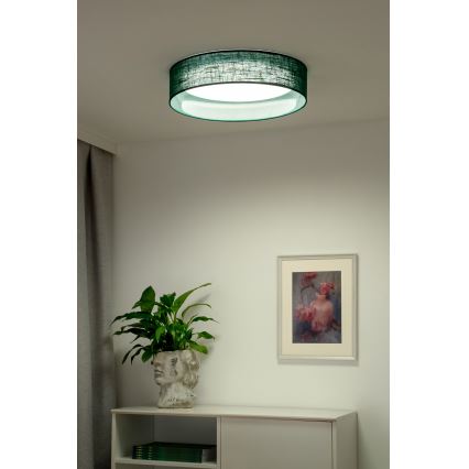 Duolla - Iluminação de teto LED ROLLER LED/24W/230V diâmetro 45 cm verde
