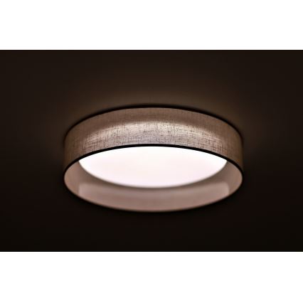 Duolla - Iluminação de teto LED ROLLER LED/24W/230V iluminação diâmetro 45 cm cinzento