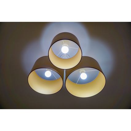 Duolla - Iluminação de teto ROLLER TRIO 3xE27/60W/230V castanho