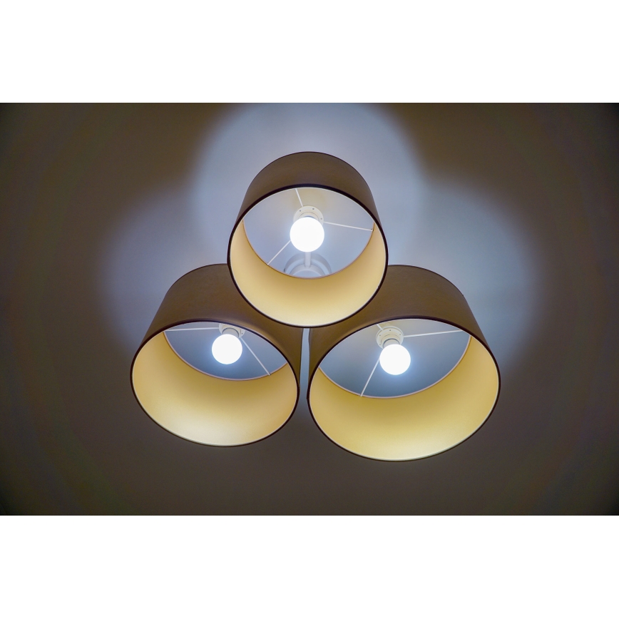 Duolla - Iluminação de teto ROLLER TRIO 3xE27/60W/230V castanho
