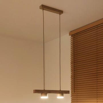 Duolla - Luminária pendente em cabo IRONLINE 2xGX53/3W/230V pinho/carvalho/bege