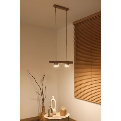 Duolla - Luminária pendente em cabo IRONLINE 2xGX53/3W/230V pinho/carvalho/bege