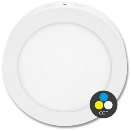 Iluminação de teto LED LADA LED/25W/230V 3000/4000/6000K diâmetro 30 cm branco