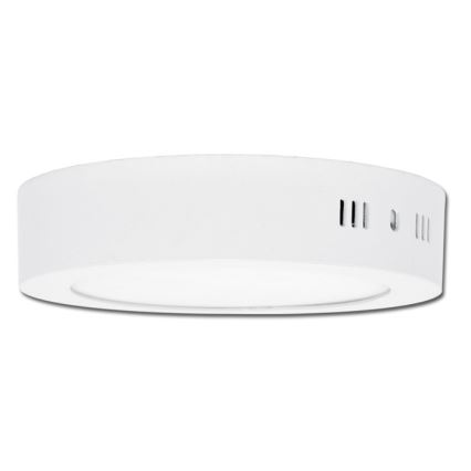Iluminação de teto LED LADA LED/25W/230V 3000/4000/6000K diâmetro 30 cm branco