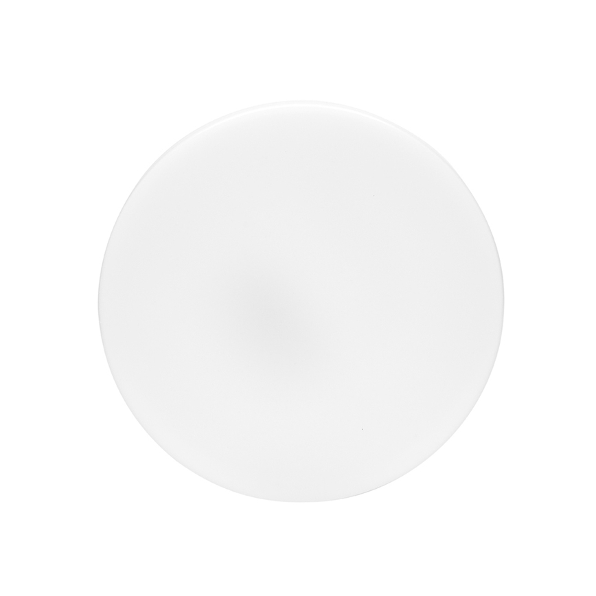 Iluminação de teto para casa de banho LED LIRA LED/12W/230V 4000K diâmetro 24 cm IP44