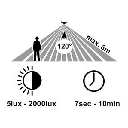 LED Iluminação de parede exterior com sensor RITA LED/12W/230V 4000K IP65