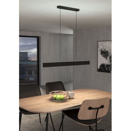 Eglo 31433 - Candeeiro suspenso LED RGBW com regulação ANDREAS-Z LED/38W/230V 2700-6500K preto