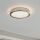 Eglo 32047 - Candeeiro de teto LED AREZZO 2 LED/17,92W/230V