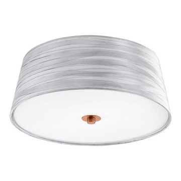 Eglo 32111 - Iluminação de teto FONSEA 1 2xE27/60W/230V