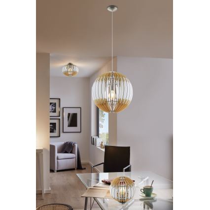 Eglo 32844 - Iluminação de teto OLMERO 1 1xE27/60W/230V