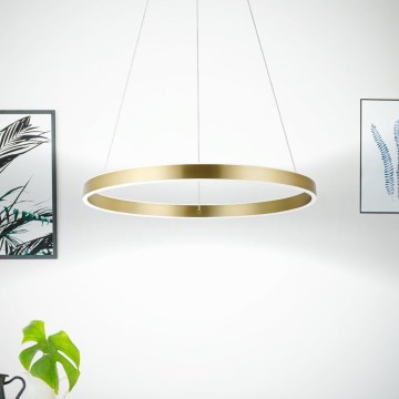 Eglo 33484 - Lustre LED suspenso por cabo ALCAZABA 2x LED/18W/230V 3000K Ø 55 cm dourado
