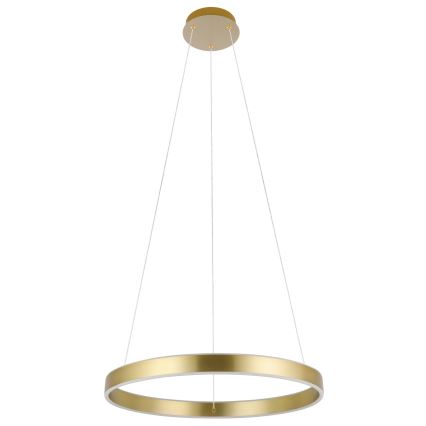 Eglo 33484 - Lustre LED suspenso por cabo ALCAZABA 2x LED/18W/230V 3000K Ø 55 cm dourado