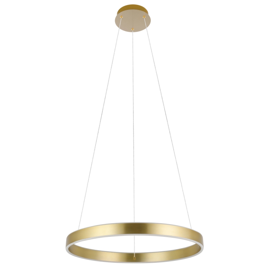 Eglo 33484 - Lustre LED suspenso por cabo ALCAZABA 2x LED/18W/230V 3000K Ø 55 cm dourado