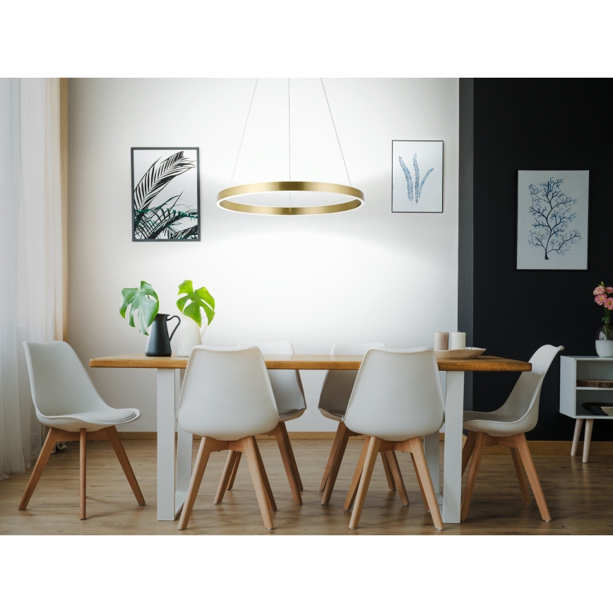 Eglo 33484 - Lustre LED suspenso por cabo ALCAZABA 2x LED/18W/230V 3000K Ø 55 cm dourado