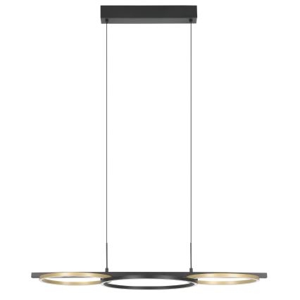 Eglo - Candeeiro suspenso LED com regulação 2xLED/12,5W/230V + LED/15,5W 3000K preto