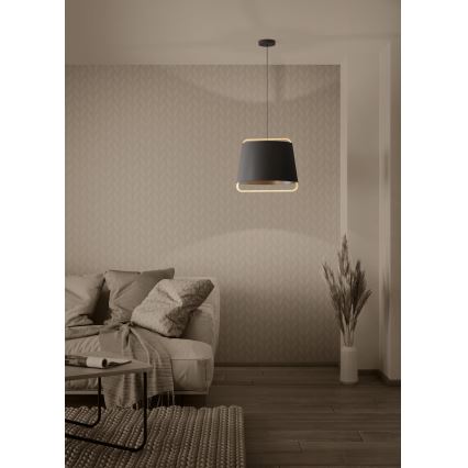 Eglo - Candeeiro suspenso 1xE27/40W/230V preto